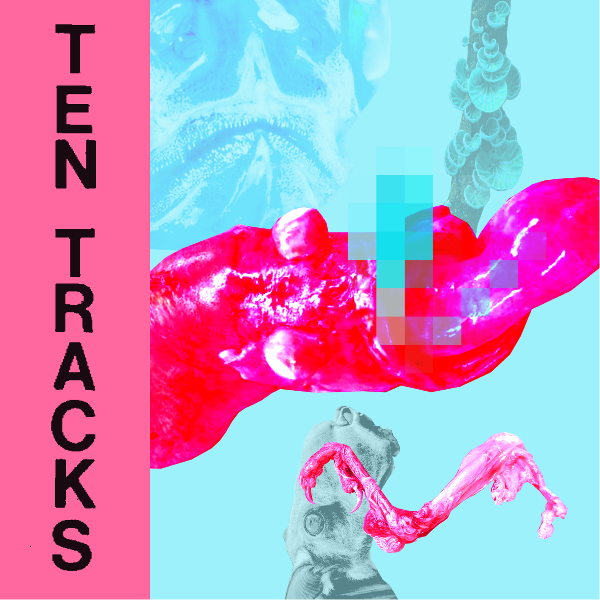 The cover art for Ten Tracks 2 is bright bat limbs and collaged weirdness. Artwork by Lily Wales, an artist from Birmingham