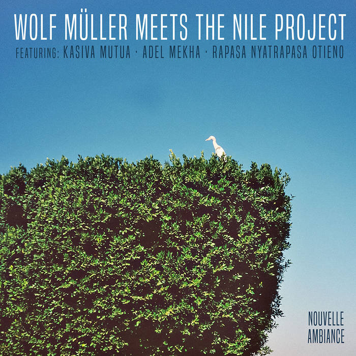 Cover artwork of Wolf Müller meets the Nile Project